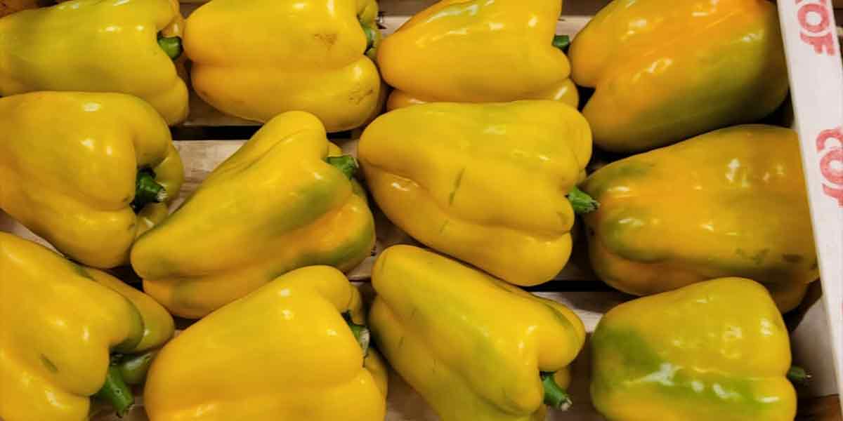 Peperone - Veneto - 2,50 euro al chilogrammo